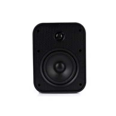 Настенная акустика CVGAUDIO OSR508TBL